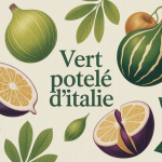 figues vertes charnues le vert potelé d’italie style méditerranéen