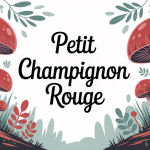 illustration de plusieurs petits champignons rouges en forêt