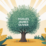 feuille jaune olivier illustration jardin radieux