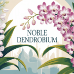Noble dendrobium orchidée floraison élégante déco