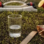 Quantite eau nouveau gazon : arrosage mesuré à 2,5 cm